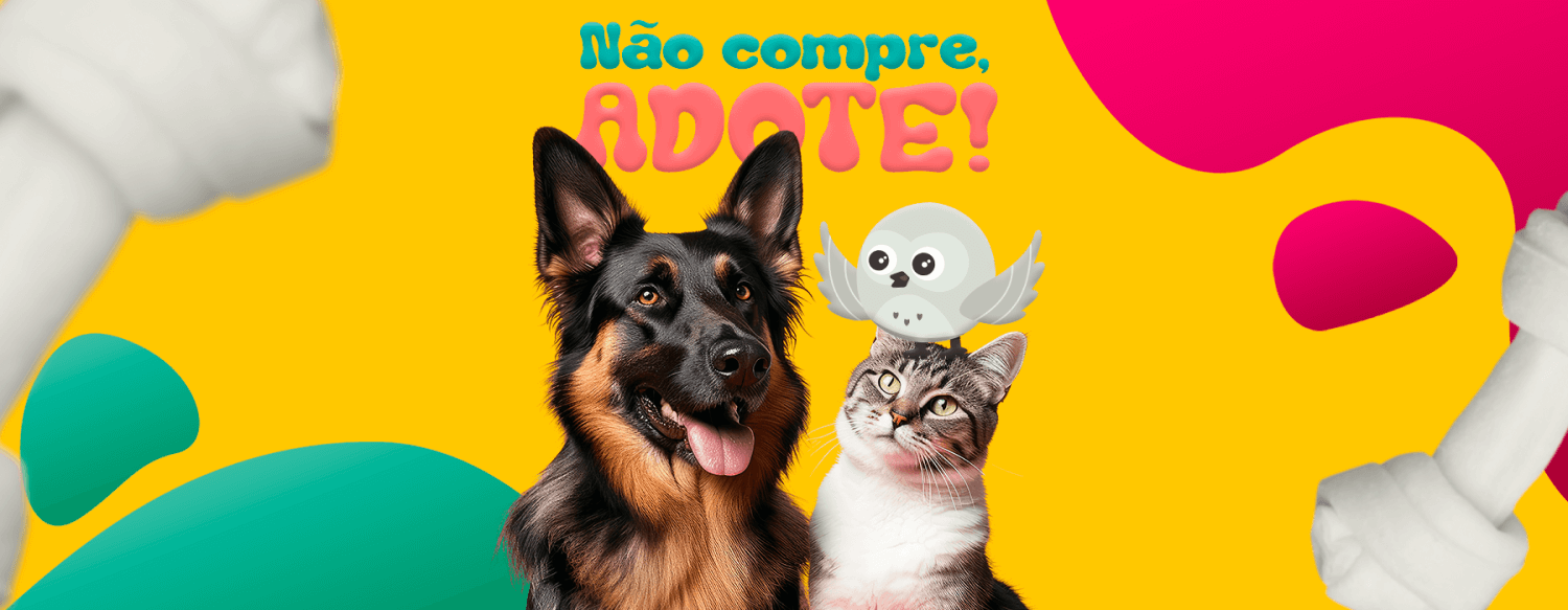 O impacto social da adoção de animais