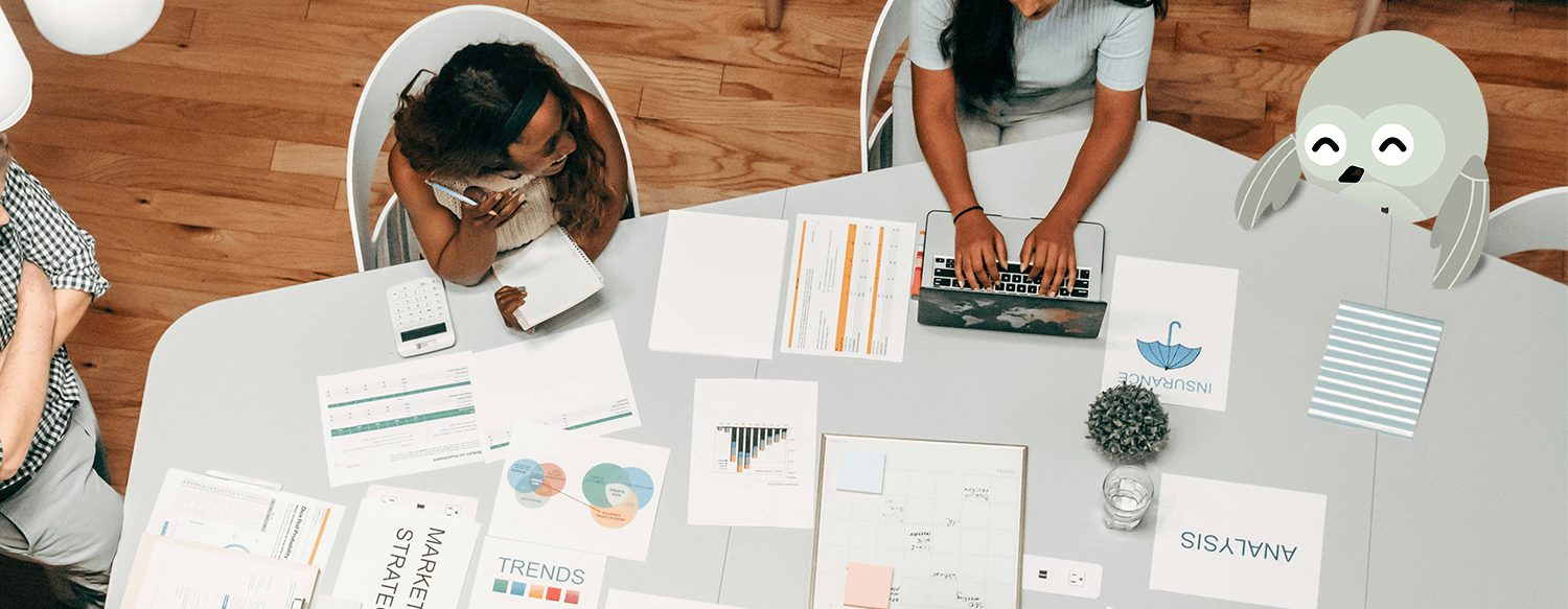 Atena Marketing - Rebranding